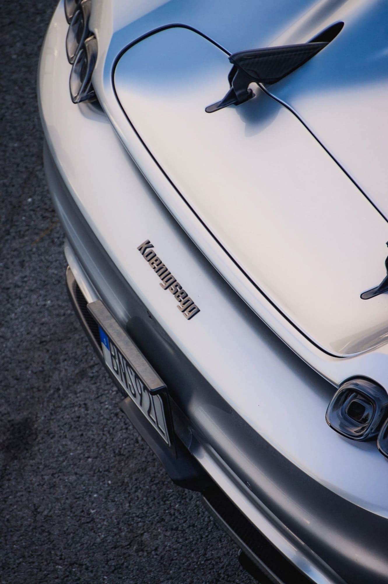 Grey Koeningsegg's back