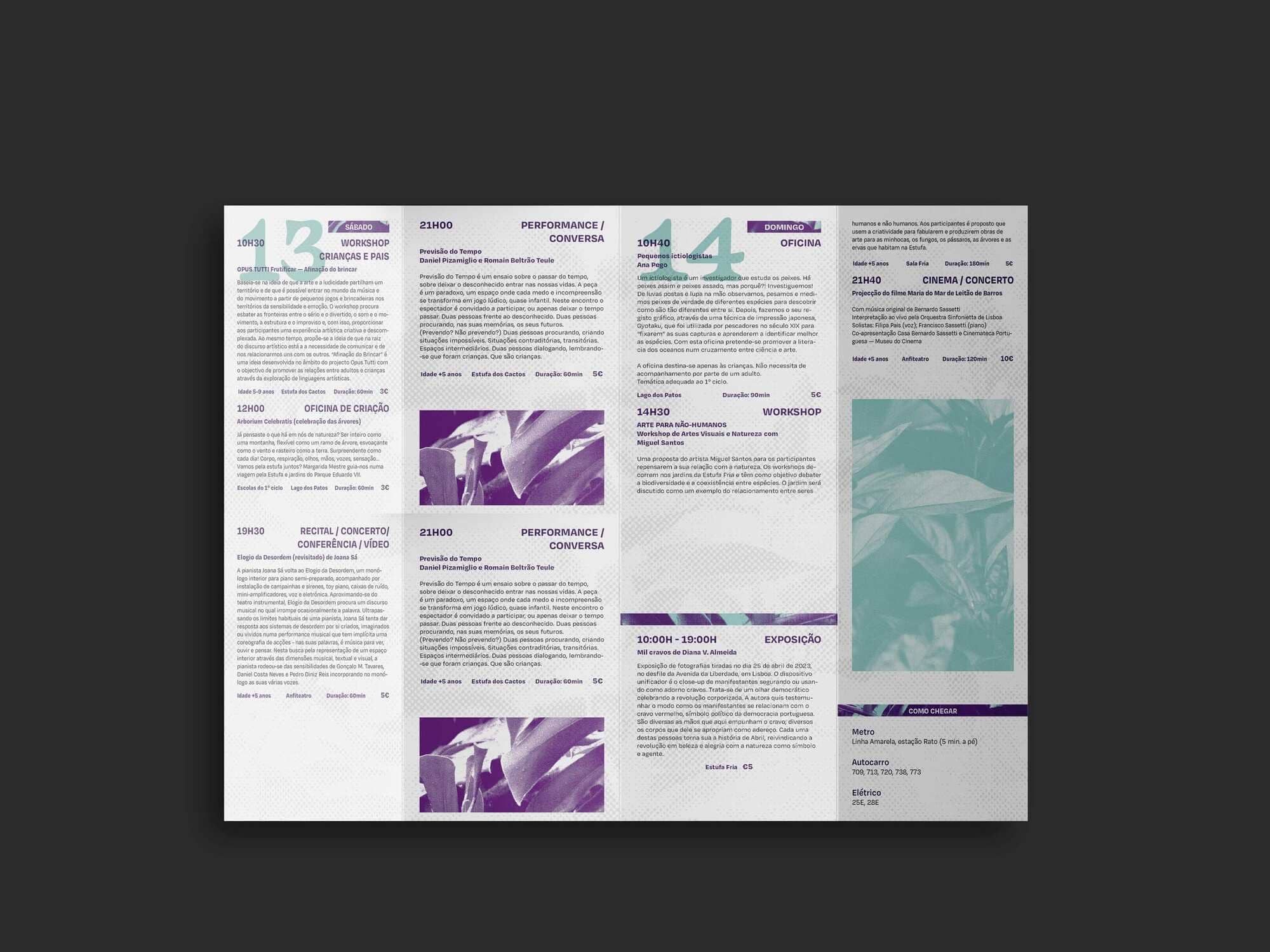 sol a solo foldable flyer