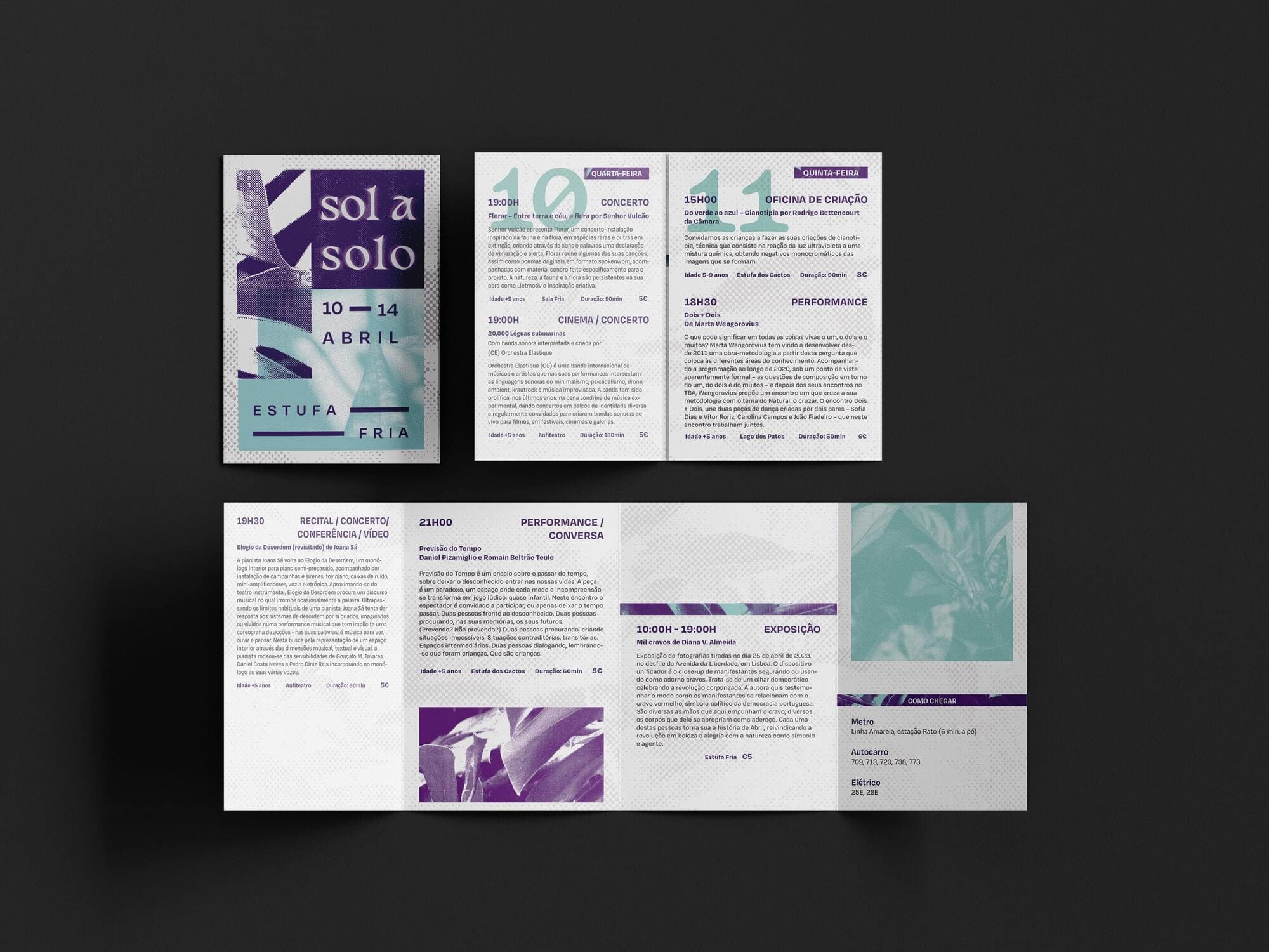 sol a solo foldable flyer